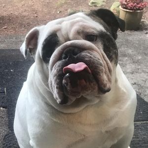 Meet your Posher, Cheri